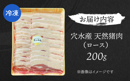 天然 猪肉 ロース 200g | ロース 奥能登穴水町産  