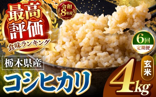 【令和8年産 先行予約】【定期便6回】訳あり こしひかり 約4kg 玄米  訳あり |   米  お米 こめ 玄米 ご飯 ごはん もちもち コシヒカリ   栃木県 真岡市 送料無料