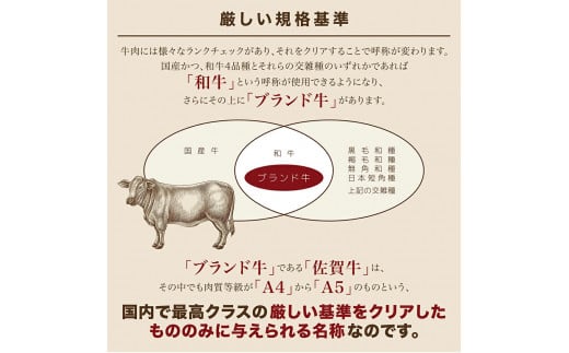 佐賀牛A5ロース しゃぶしゃぶすき焼き用500g 161-J777