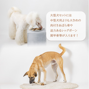 【シカ・大型犬用】ロヴァリのジビエおやつ いろいろお試しセット（ 愛犬 ジビエ おやつ ご褒美 イノシシ シカ 猪 鹿 大型犬 シニア犬 保存料不使用 愛媛 松山 ） 【LVR002_d】