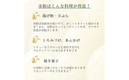 米粉パウダー（300g×12セット） No.491