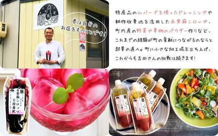 ルバーブドレッシング（分離タイプ）170g×３本入り | ドレッシング 馨工房