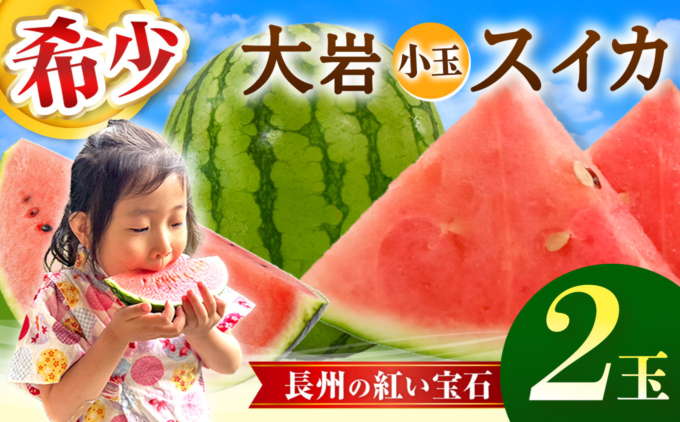 
            甘くて 果肉 たっぷり！ 大岩 こだま スイカ 2玉 「 神秘の里 大岩郷 よりお届け 長州の紅い宝石 」 先行予約 ＜ 2025年 7月下旬 ～ 8月頃 発送予定 ＞ | スイカ 小玉 小玉スイカ ブランド フルーツ 夏 果物 果実 山口 美祢 期間限定
          