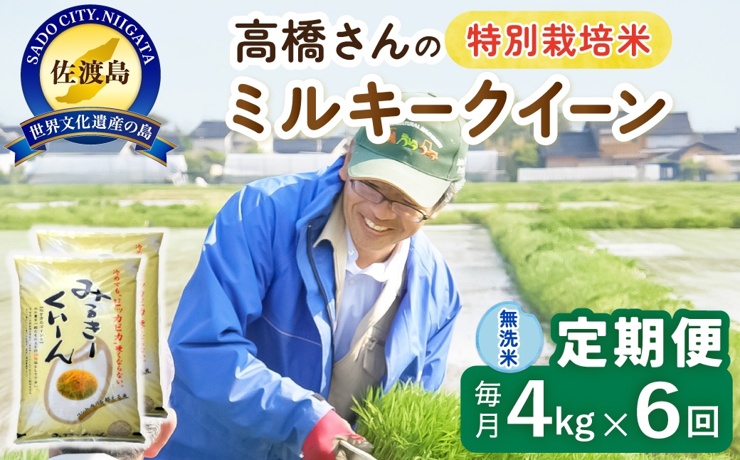 
                  【定期便 令和8年産新米 6か月】 佐渡島産ミルキークイーン 無洗米 4Kg(2kg×2袋） 令和8年産新米 特別栽培米 高橋農園 | 新潟県産ミルキークイーン 佐渡産ミルキークイーン ミルキークイーン お米 米 無洗米 むせんまい 精米 おこめ コメ 4キロ にいがた さど 新潟県 佐渡市 195962-4322
                