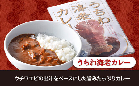 4種のウチワエビづくし【株式会社ひらど新鮮市場】[KAB103]/ 長崎 平戸 加工品 惣菜 カレー 煎餅 ラーメン 塩