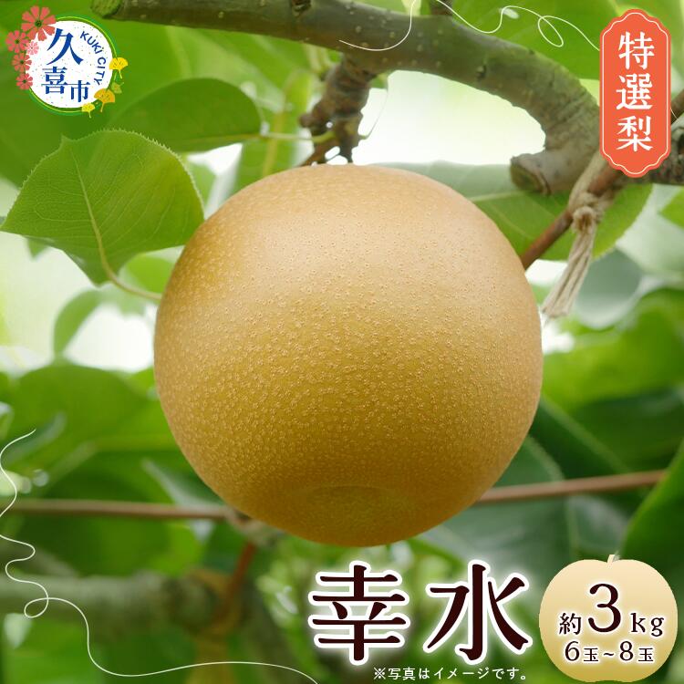 【ふるさと納税】梨 幸水 特選梨 約3kg 6玉～8玉 2026年 先行予約 数量限定｜宮野梨園 農家直送 フルーツ 甘い 限定 果物 果樹 埼玉県 久喜市