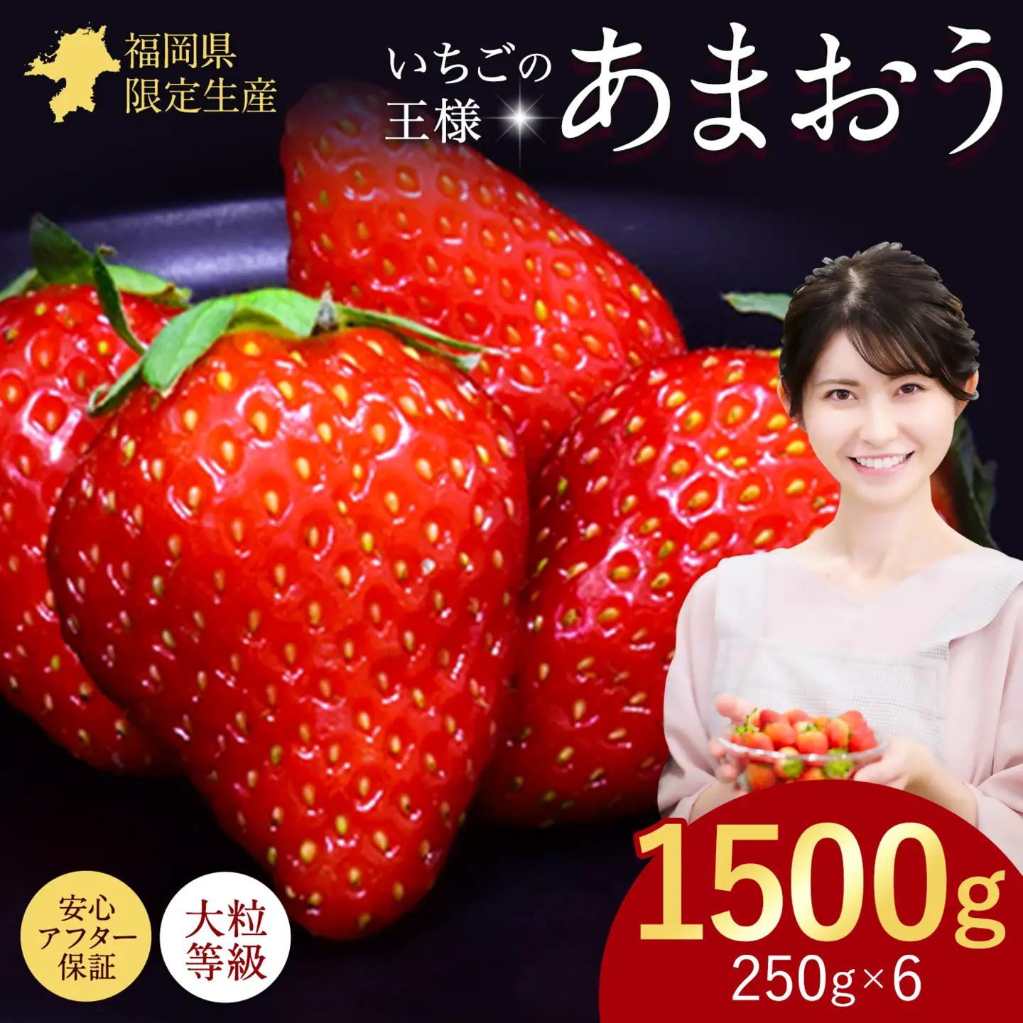 あまおう いちご 1500g【配送不可地域：離島】