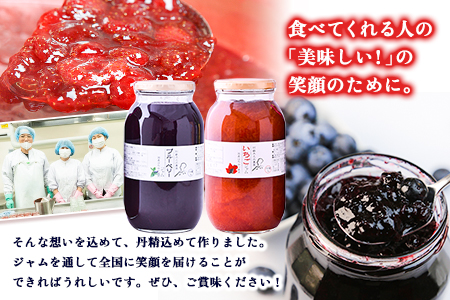 手作り いちごジャムとブルーベリージャム 木之内農園  1kg×2本｜ジャムジャムジャムジャム