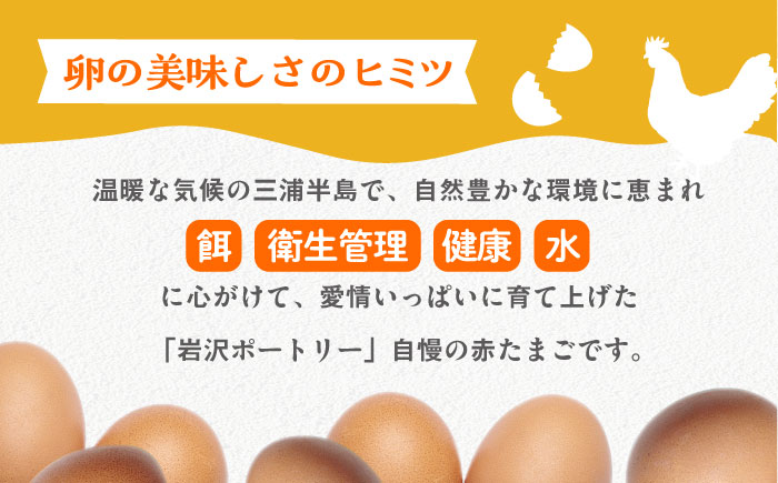 餌にこだわった三浦半島産赤たまご　30個　【横須賀商工会議所　おもてなしギフト事務局（岩沢ポートリー）】 [AKET004]