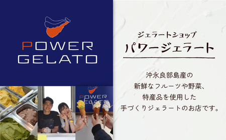 POWER GELATO 沖永良部島産（ 塩ちんすこうバニラ ）90ml × 5個入り W066-004-01 ジェラート パワージェラート デザート 氷菓子 菓子 手作り CAFE Typhoon 