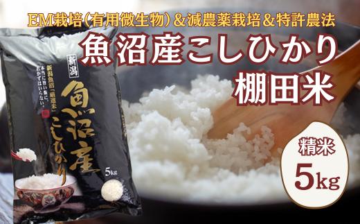 【令和7年産】農家直送の棚田米 魚沼産コシヒカリ 精米 合計5kg 佐藤農場 | 新潟県産 コシヒカリ お米 米 おこめ こめ コメ こしひかり 白米 精米 魚沼産 ブランド米 人気 おすすめ 産地直送 【0018-0019-01】