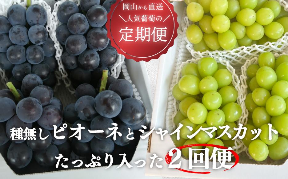 
            KF-T005【きよとうファーム】ピオーネとシャインマスカット、たっぷり2kgの2回便！(定期便) (岡山県産)
          