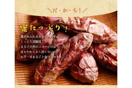  湧水町産さつまいも！紅はるかを使用したペット用冷凍やきいも(500g×3袋・計1.5kg) 国産 九州産 鹿児島県産 サツマイモ さつま芋 紅春香 芋 焼き芋 やきいも 野菜 スイーツ 冷凍 ペット