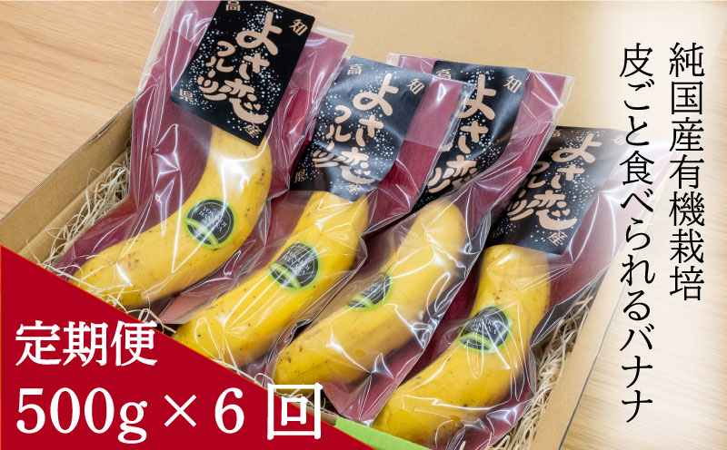 【毎月6回定期便】 バナナ 500g 6回 国産 有機栽培 高知初 須崎 糖度 25度以上 皮ごと食べられる