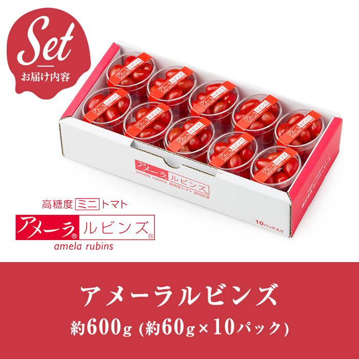【先行予約】アメーラルビンズ 10パック入り ｜ トマト 野菜 国産