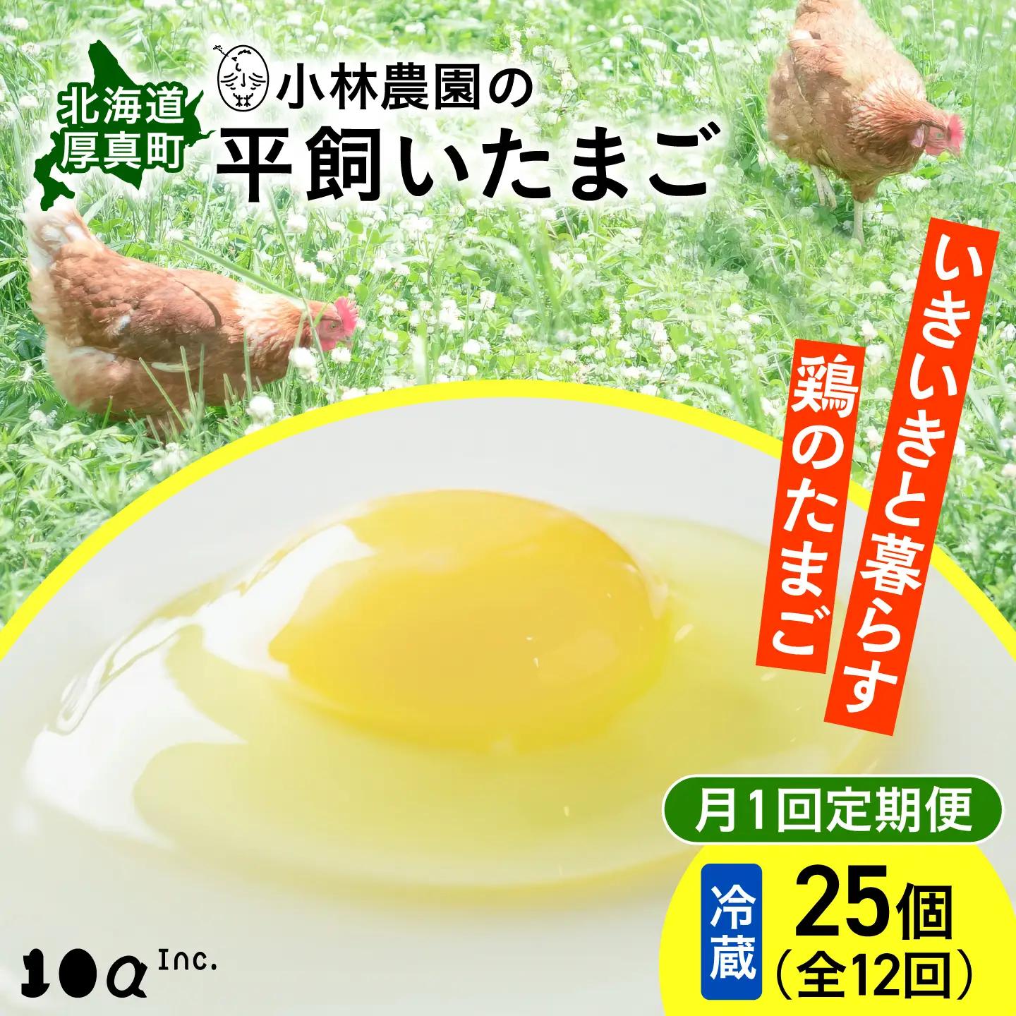 【卵 定期便 12ヵ月】たまご 平飼い 有精卵 25個 冷蔵 [AXAN006]