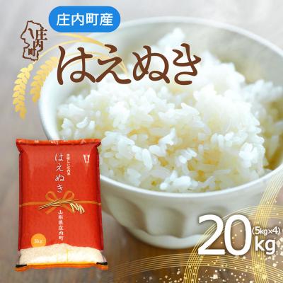 ふるさと納税 庄内町 庄内町産 はえぬき 20kg 5kg×4袋 令和7年産 2025年産 ブランド米