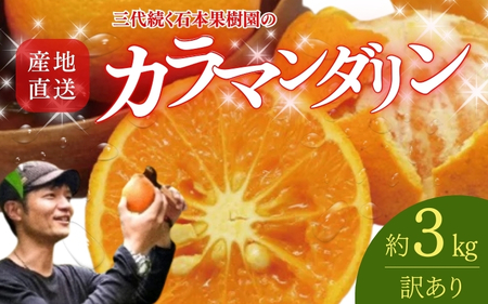カラマンダリン 訳あり 石本果樹園  約3kg 約20～25玉前後 カラ・マンダリン【min021】
