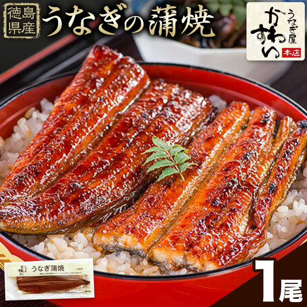 【ふるさと納税】うなぎ屋かわすい 国産うなぎの蒲焼 1尾 川口水産株式会社《30日以内に出荷予定(土日祝除く)》うなぎ蒲焼 鰻 大 タレ 惣菜 丑の日 人気 うなぎ おすすめ 国産 個装