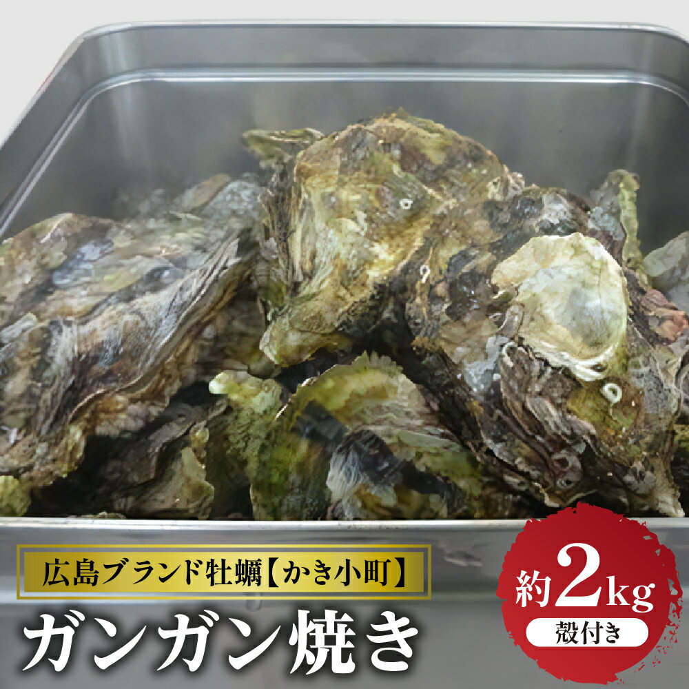 【ふるさと納税】 先行予約 【 2025年 12月 より発送】丸十水産 広島 ブランド 牡蠣 かき小町 ガンガン焼き 約2kg (10〜14個) 冷蔵便 国産 加熱用 広島県産 音戸産 牡蠣 カキ 旨味 濃厚 新鮮 美味しい 冬 旬 先行受付 お取り寄せ 産地直送 送料無料 広島県 呉市
