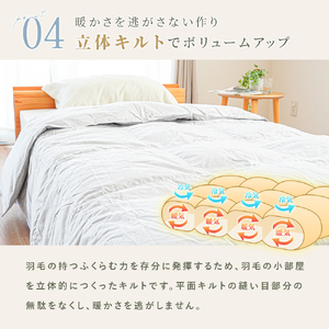 羽毛 掛け布団 色(ベージュ) ダウン90% 0.25kg入り エコテックス認証 羽毛肌 掛け布団 シングル ロング