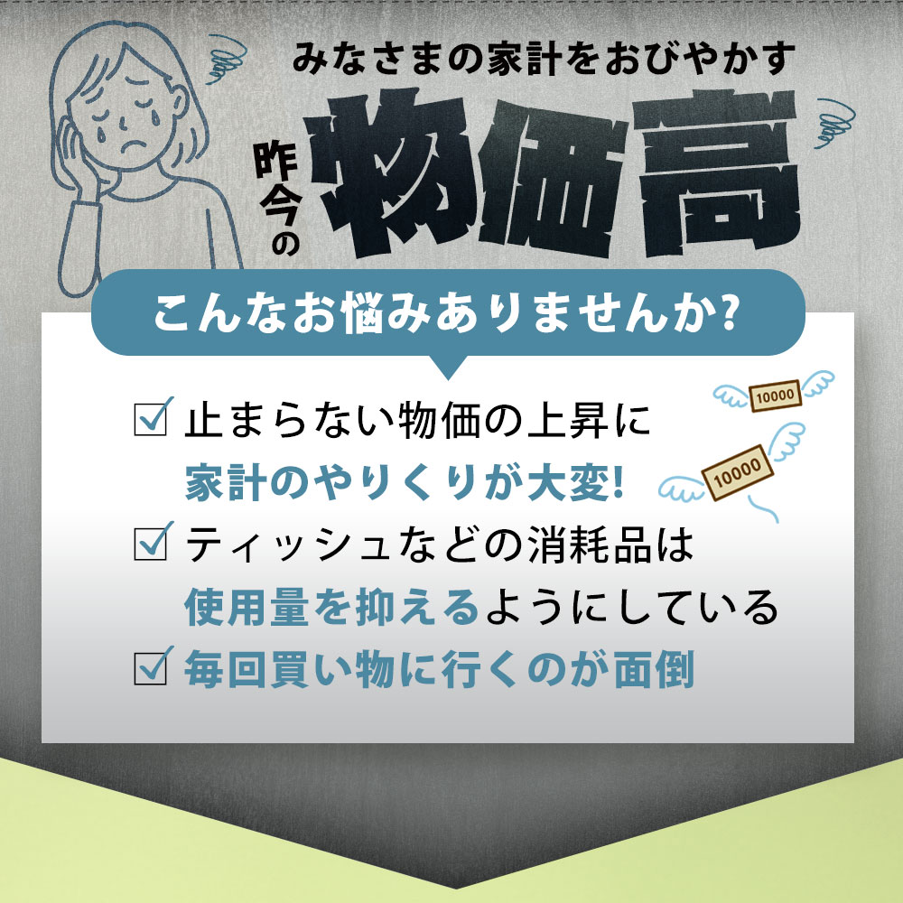 MH140-0124_【ふるさと納税】 ティッシュ ティッシュペーパー 「 大容量 プラムファッション BOXティッシュ 12パック（ケース60個入り） 定期便 全2回(3ヶ月ごと)」 [ 常備品 生