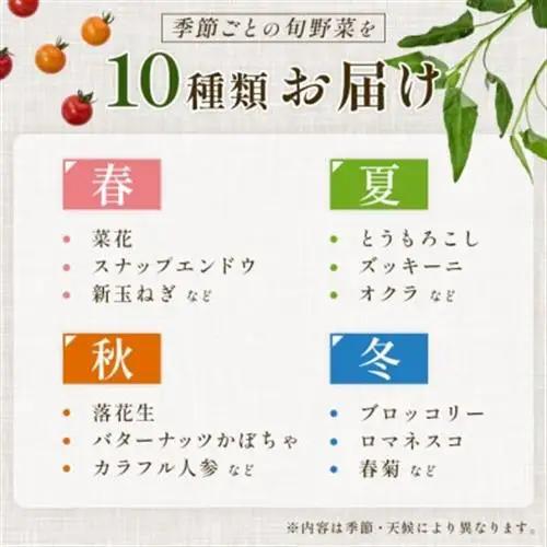 【毎月定期便】【下旬発送】こだわりの旬野菜BOX「リエビン」季節の野菜セット全12回【配送不可地域：離島・沖縄県】【4012347】