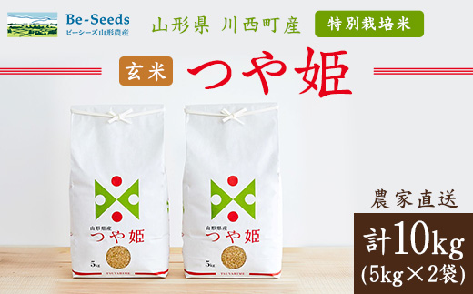 令和7年産　山形県産　つや姫　玄米　10kg_米 こめ 玄米 つや姫 特別栽培米 ブランド米 産地直送 人気 おすすめ 贈答 ギフト プレゼント 送料無料 お取り寄せ お米 ごはん 山形県 川西町【1144539】