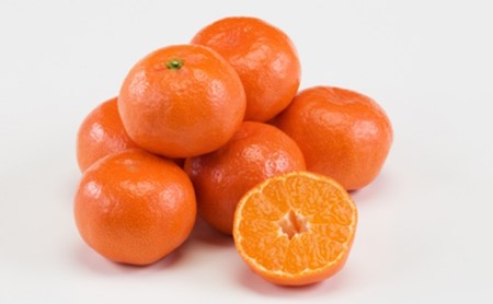 みかん 小原紅早生みかん 金時紅 香川県産 みかん【2.5kg】