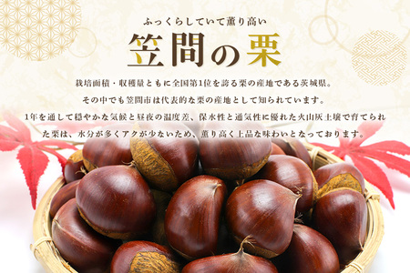 【ワケあり】 かさま 熟成栗 訳あり むき栗 500g BH-021