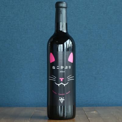 ふるさと納税 富山県 ねこかぶり 2021