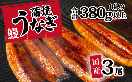 父の日 簡易包装 国産 うなぎ蒲焼 3尾 父の日 父の日 父の日 父の日 父の日 父の日 父の日  父の日 父の日  父の日