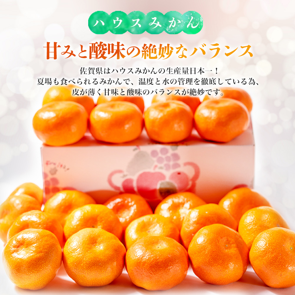 【先行受付 令和8年6月より発送開始】佐賀県産『ハウスみかん』約2500g【果物 フルーツ みかん 柑橘 ビタミン デザート ふるさと納税】(H108115)