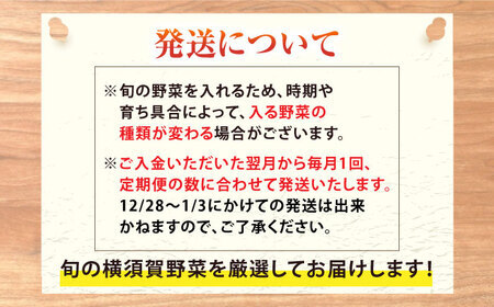 すずなり採れたて野菜BOX（定期便）60サイズ 12ヶ月 横須賀市 野菜 旬 サラダ セット 採れたて おまかせ 新鮮 直送