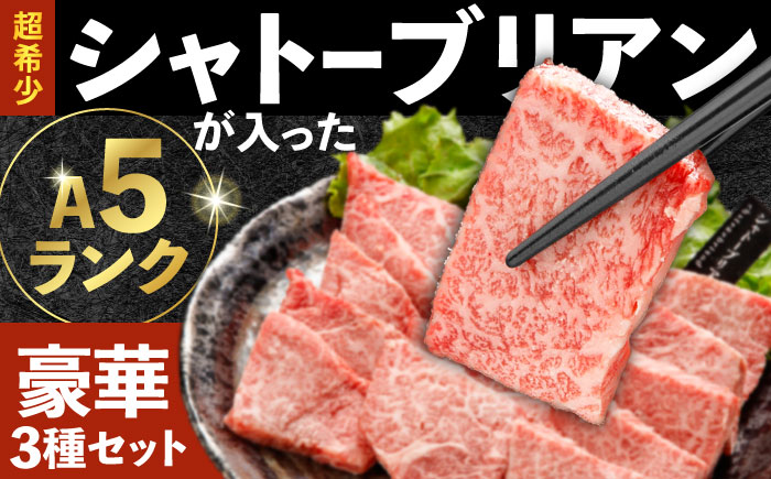 〈シャトーブリアン入り〉希少部位 焼肉 3種食べ比べセット 700g(シャトーブリアン200g・サーロイン200g・ランプ300g)  / 長崎和牛 国産 牛肉 和牛 a5 焼肉 やきにく 焼き肉用 