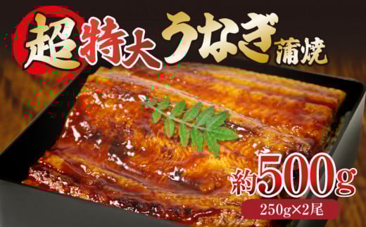 うなぎ 蒲焼き 500g 特大 250g×2尾 タレ付き 冷凍 小分け 特上うなぎ うなぎ 料亭 肉厚 ふっくら 香ばしい うなぎ蒲焼き 鰻蒲焼 養殖鰻 養殖うなぎ 温めるだけ 簡単調理 うな重 うな丼 土用 丑の日 ふわふわ パリパリ 手焼き ご飯 米 丼 お歳暮 ギフト プレンゼント 贈答 【 北海道・東北・沖縄・離島への配送不可 】