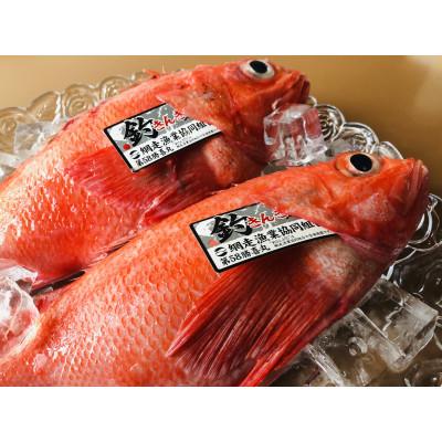 ふるさと納税 網走市 網走産ー炉端・五十集屋で大人気の開き釣りキンキ2尾で約1kg |  | 02
