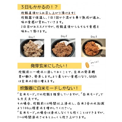 お家で簡単!【 熟成玄米ご飯(酵素玄米) 】手作りセット　3合パック×4個　新潟県弥彦村産コシヒカリ【1522133】