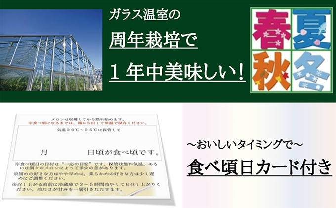 クラウンメロン　白クラス　６玉入　出荷箱【配送不可：離島】