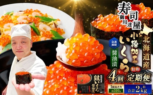 【4回定期便】 北海道加工 いくら醤油漬 約500g（約250g×2パック）×4回 計約2kg いくら醤油漬け いくら イクラ 醤油漬 醤油漬け 冷凍