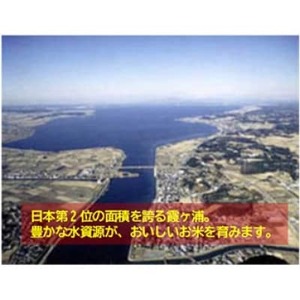 筑波山麓産米を中心に厳選した【茨城県産こしひかり】白米15kg 令和7年産【配送不可地域：離島・沖縄県】【1701336】
