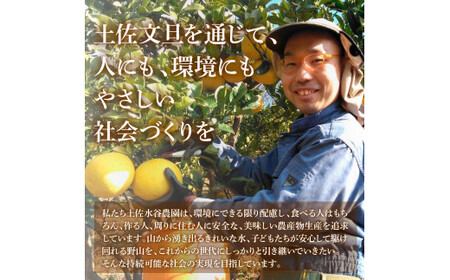 【先行予約】本場、高知県土佐市産！土佐水谷農園の露地土佐文旦 家庭用10キロ 10kg 大小混合（L～上限なし：16玉前後）〈2027年1月20日～発送〉 訳あり 文旦 柑橘 フルーツ【土佐水谷農園】