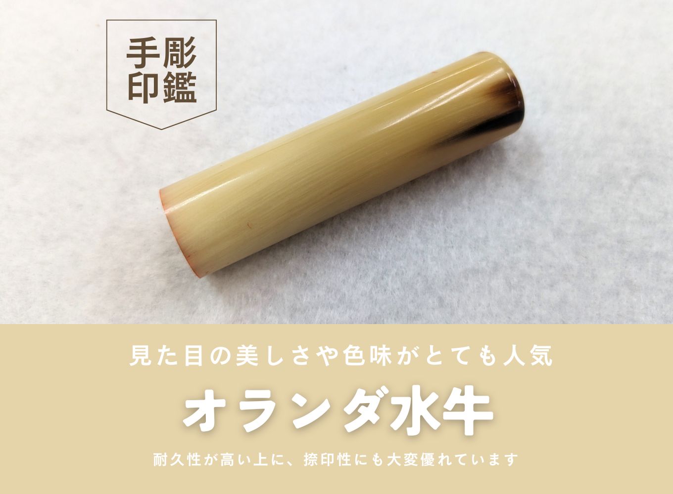 【女性向け】手彫り職人が彫ったオランダ水牛印鑑13.5mm イタリアンレザ－印鑑ケース付き[5839-2151]