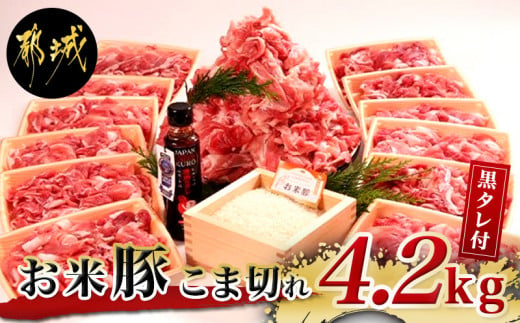 
「お米豚」こま切れ4.2kg(黒たれ付)_AC-3105_(都城市) 小分け 350g×12パック 豚肉 国産豚 宮崎県産豚 銘柄豚 モンドセレクション金賞受賞 オリジナル焼肉 豚丼のタレ付き
