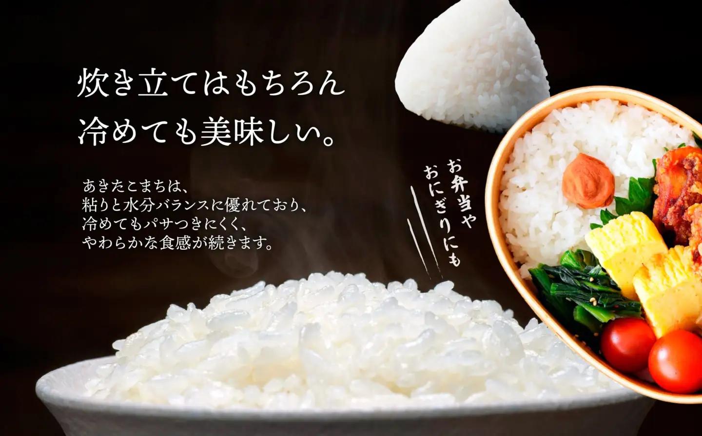 【令和7年産】秋田県大館産あきたこまち5kg　50P126001【JAあきた北精米センター】