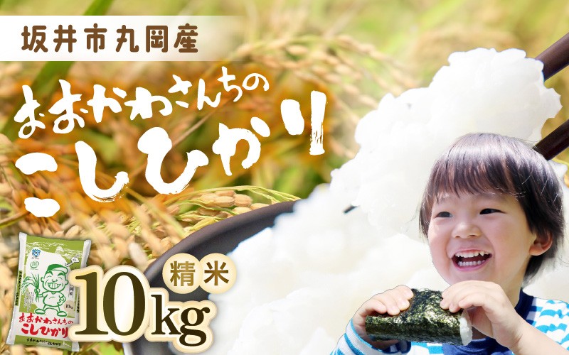
                  数量限定 おおかわさんちのこしひかり 10kg  (なくなり次第終了)【令和7年産】 コシヒカリ こしひかり 白米 米 お米 kome 10キロ 精米 ブランド米 ごはん ご飯 おいしい 人気 産地直送 国産 [A-10818]
                