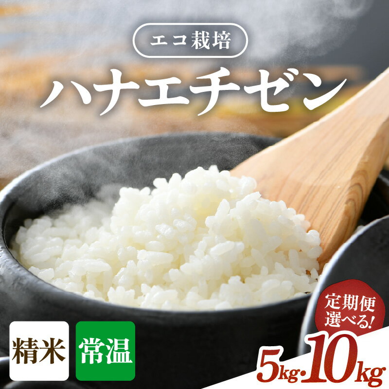 【ふるさと納税】【先行予約】【令和8年産 新米】 エコ栽培ハナエチゼン 精米 5kg 10kg （5kg×2袋）定期便 3回 6回 12回 ／ 米 お米 5キロ 10キロ 定期便 鮮度抜群 福井県産 はなえちぜん ご飯 新鮮 玄米 ※2026年9月上旬以降順次発送予定