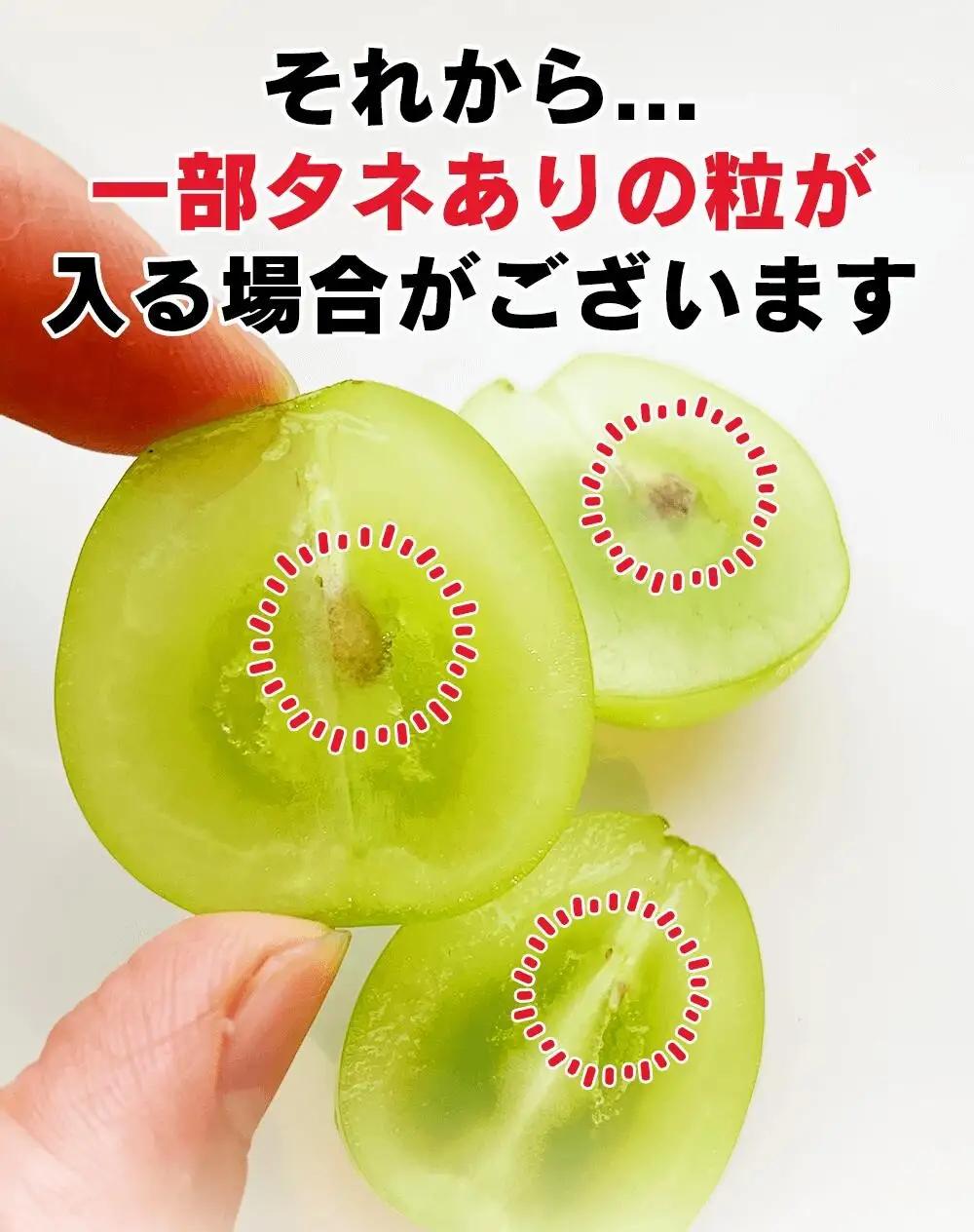 訳あり シャインマスカット 家庭用 約2kg（4~6房）※最低1.8kg以上 | シャインマスカット