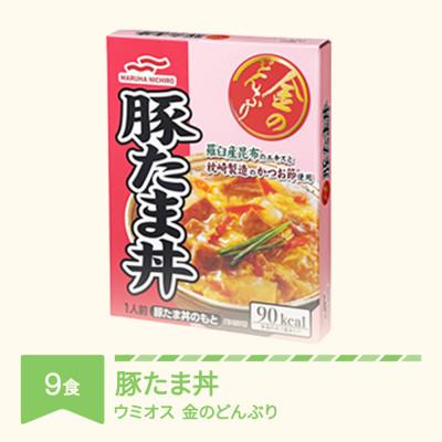 ふるさと納税 村山市 ウミオス 金のどんぶり 豚たま丼 レトルト 丼ぶり 9個