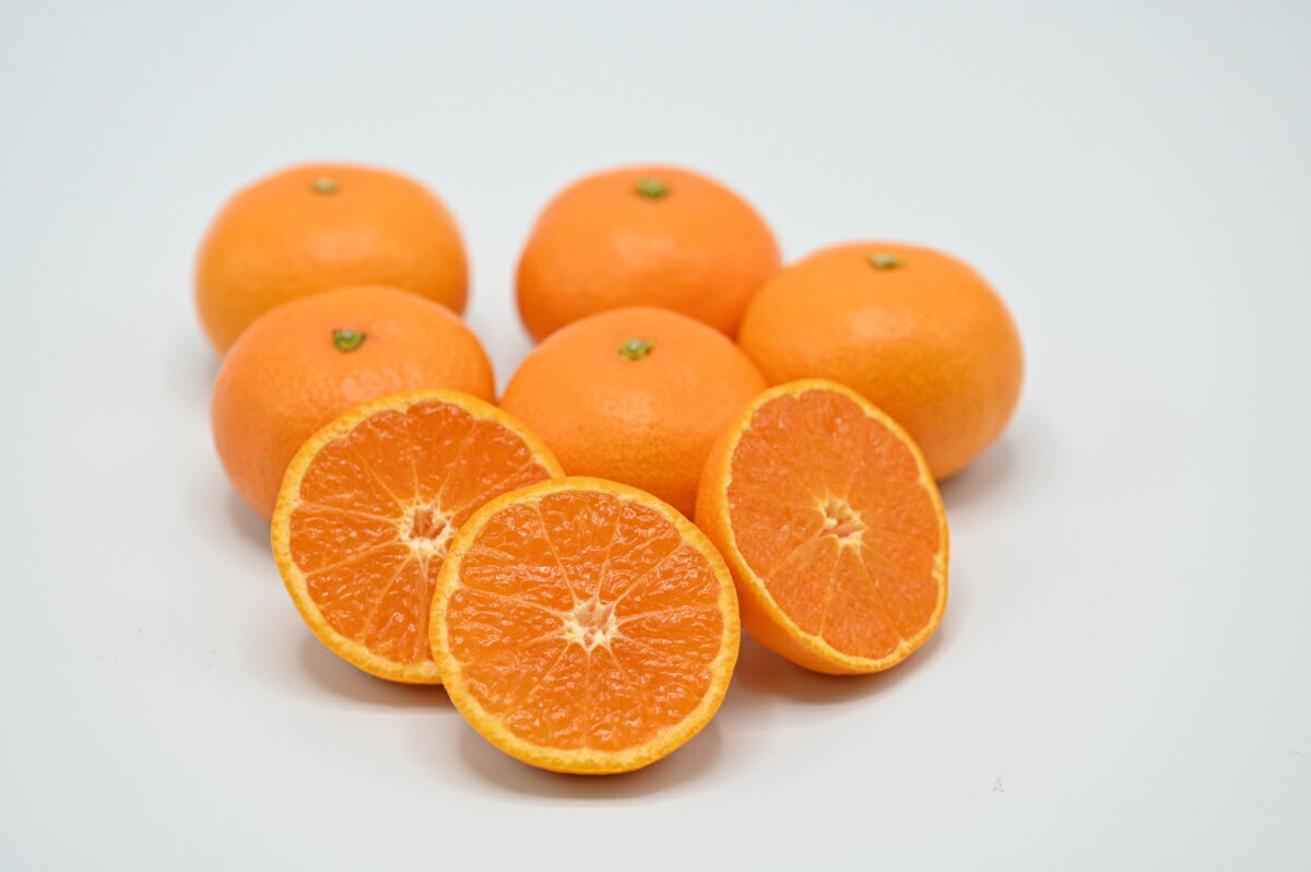 【ふるさと納税】【2025年11月以降発送】八幡浜市向灘地区産「媛一みかん」約5kg(家庭用)【C28-27】_ みかん ミカン 家庭用 柑橘 フルーツ くだもの 果物 ふるーつ 果実 青果 甘い 産直 旬 産地直送 温州 愛媛 【配送不可地域：離島】【1051846】 YWTN019